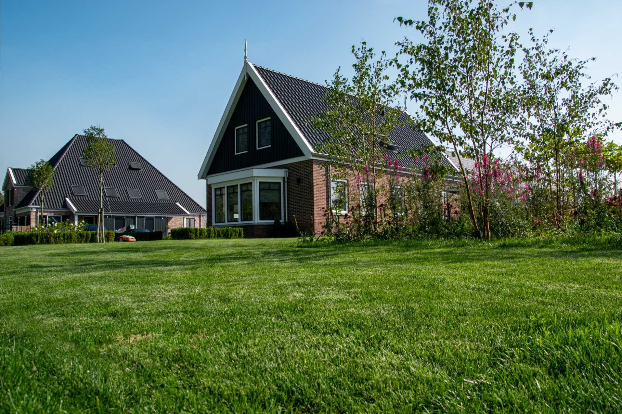 Graszoden laten aanleggen of zelf leggen Koggenland